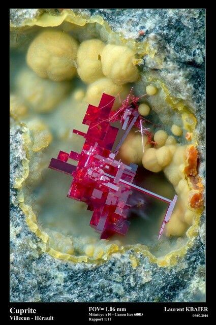 eb4237a356d6a6569066951d797b3672