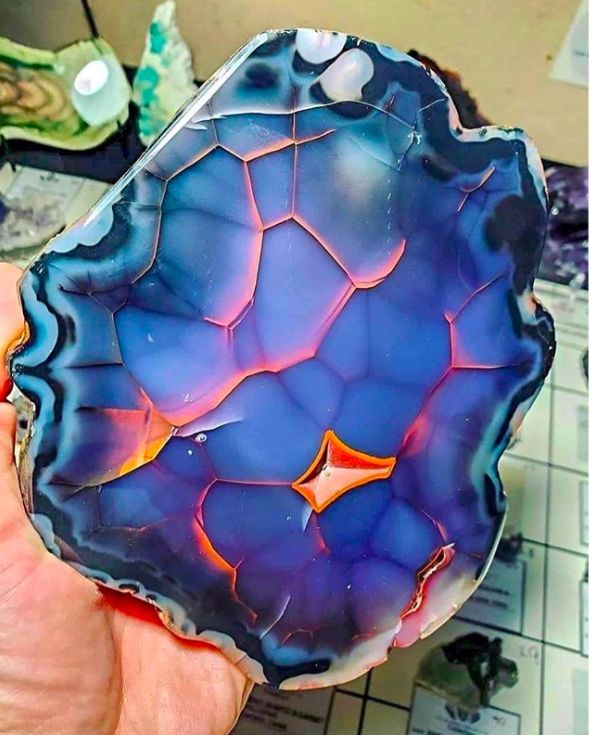 f0488120167547c693b8e1b89ccd9a1d