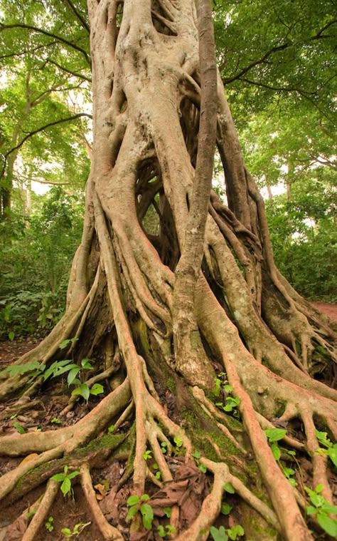 f78b409a0b4e336bdf9aa3f684f87fcb