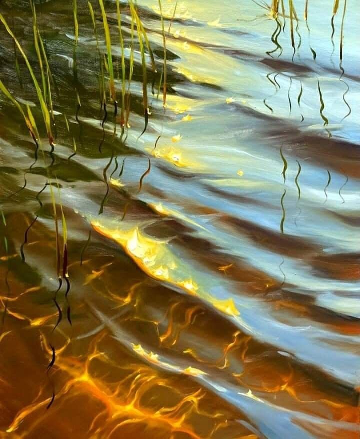 f8dea00a0102508193f550caf4bf5b8a