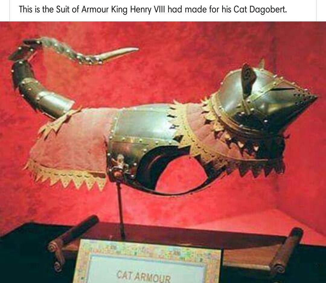 09d381f0d57fe5c38f2979af883b60e1