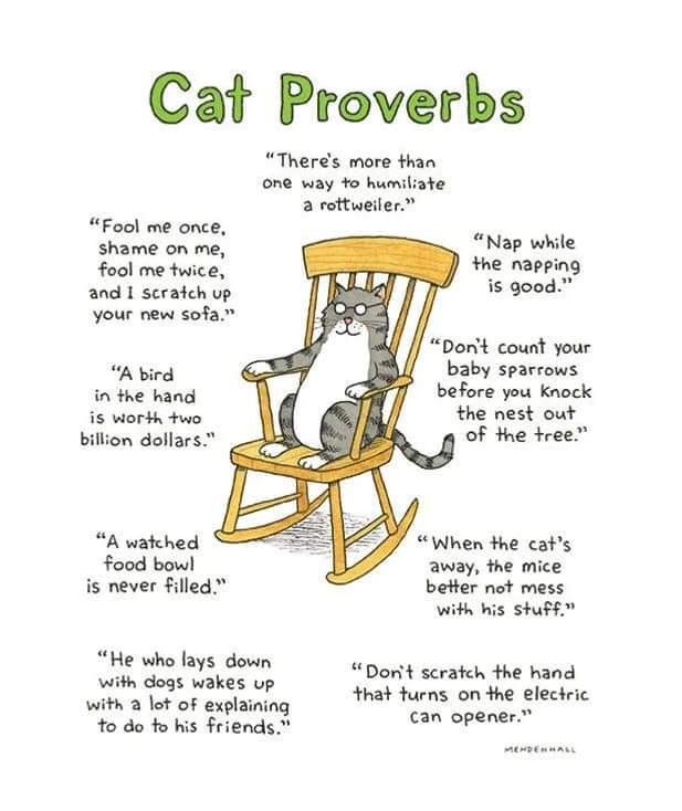 0caa21175c02c8750419a0c4406a393a