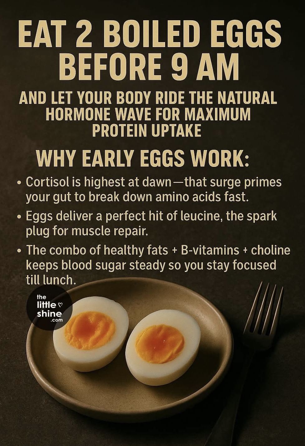 13a61c696a79b9033b87b4ff59d1de33