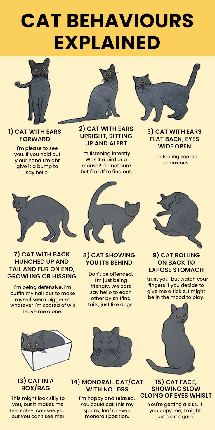 160cb2a8377df94c6a2596cddf3b9650