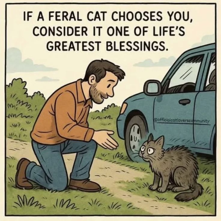 1c4031a20a1cf4bf8624b1edd1e4e3dd