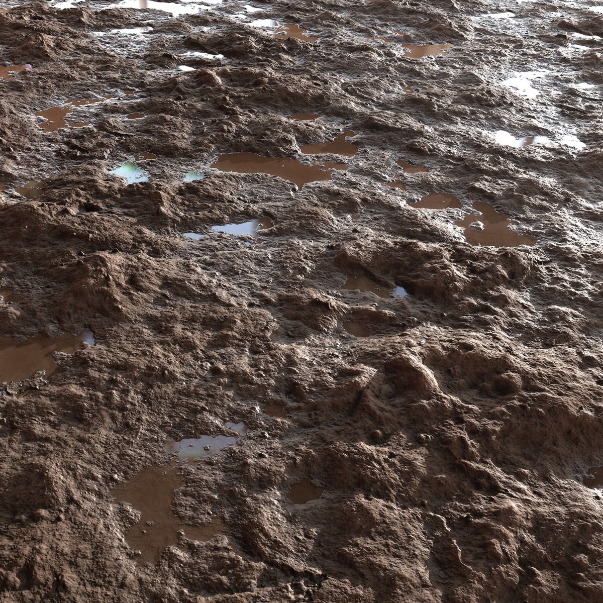 2e79fec915a944b137479923cb1a2183