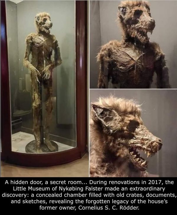 30260ce0a0ba7f741a3f29c958cf1320