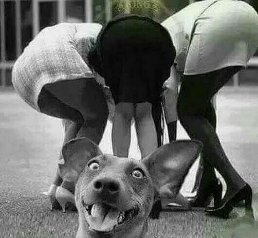 3240eb88e80117cb36818b8c547cb454