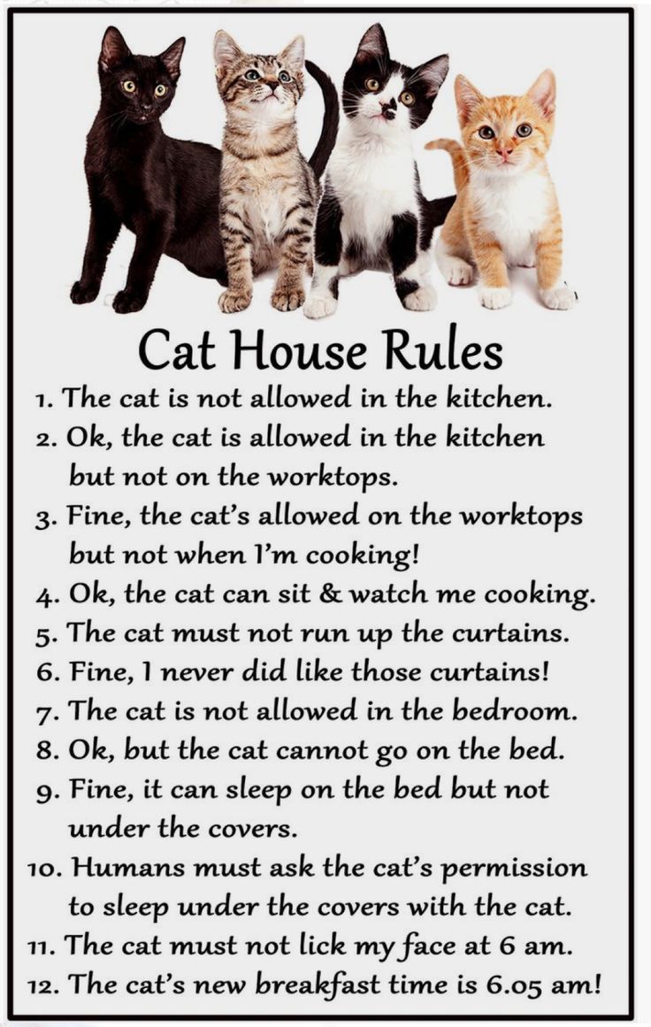 35be675a48c45e70b9105e114e87f5b4