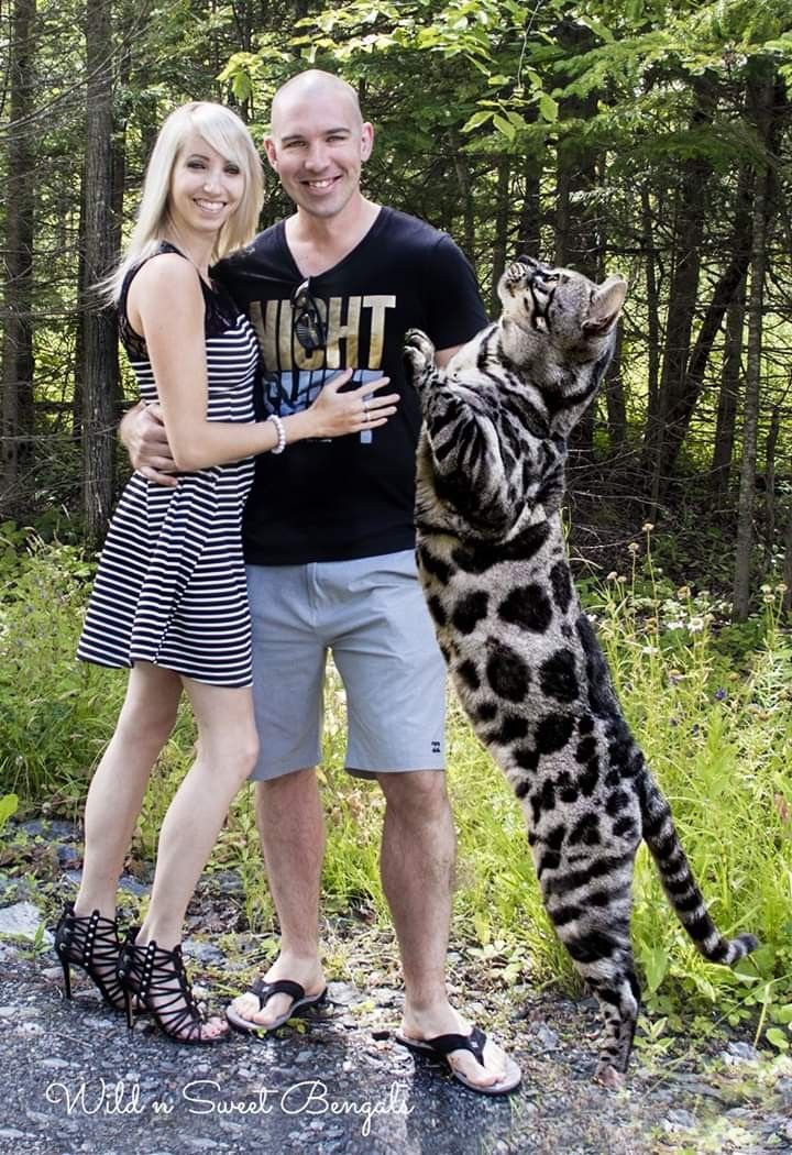 38afcb55ac4c582ba14d1390d65b0db7