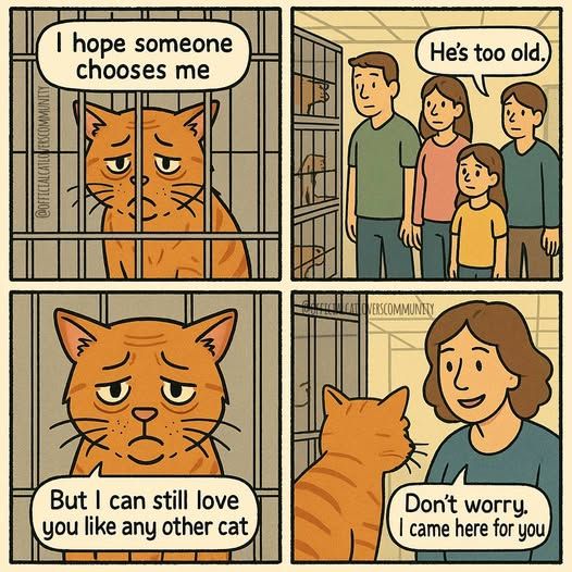 3e7dfb73f5837085874f23d01c800366