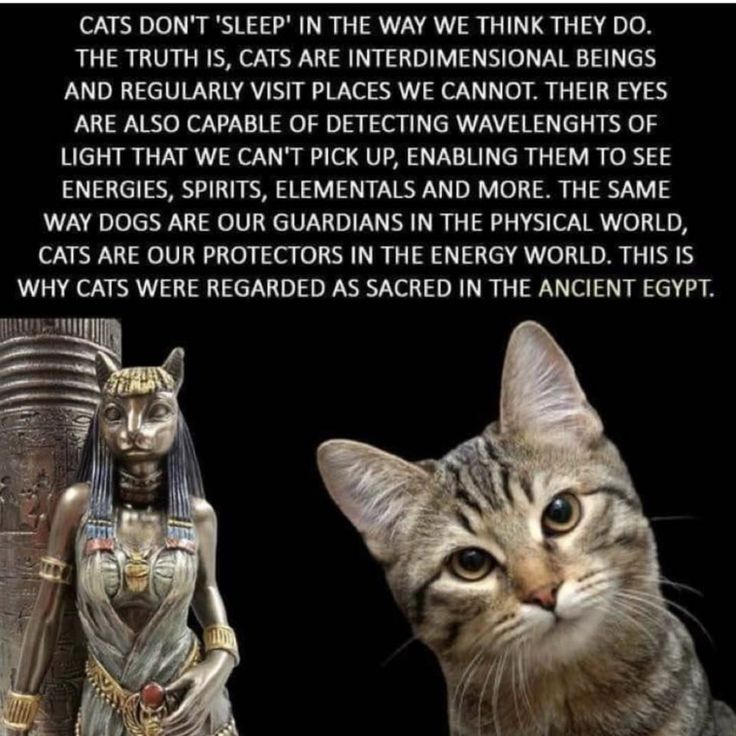 5c59ae85de84f025da7957e32256c51e