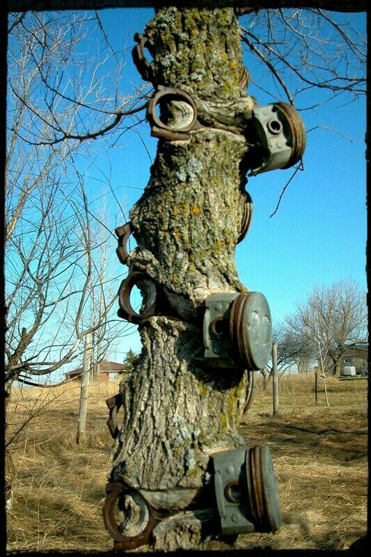 65e046c0e174ba25c01c24c229ed8416