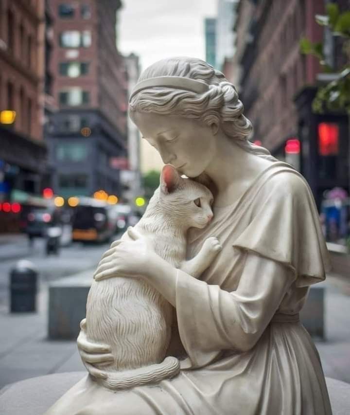 6be751db4064db528f8a038e2d5e57ca