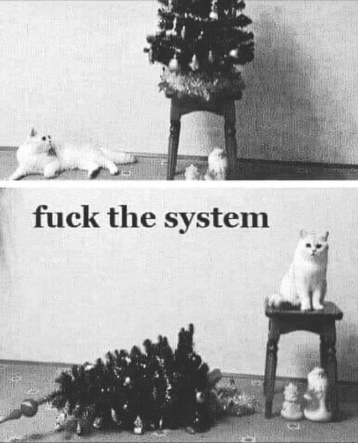 6e606b0d20fffc4d782cd5873c451715