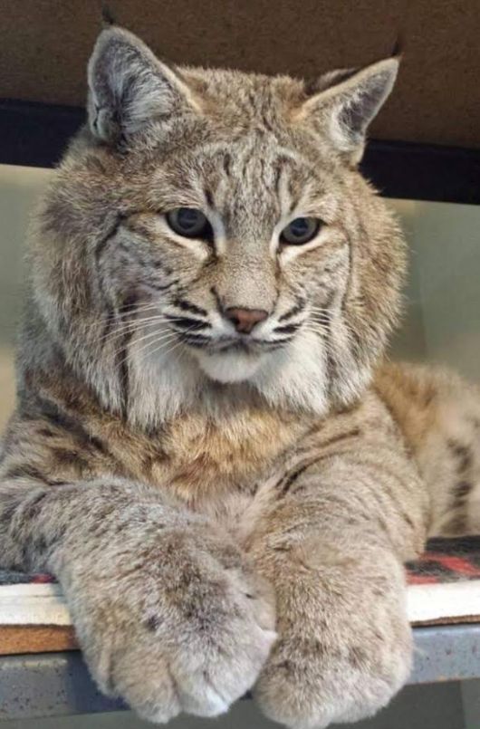 709c9edb7de148184cd03abd41b04c82