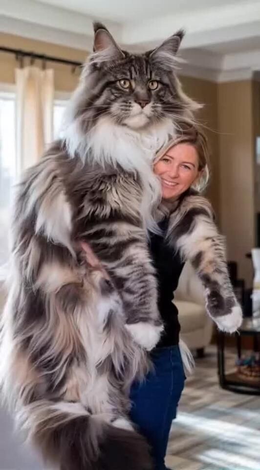 7ef5e3e4617d967019a43b9256201925