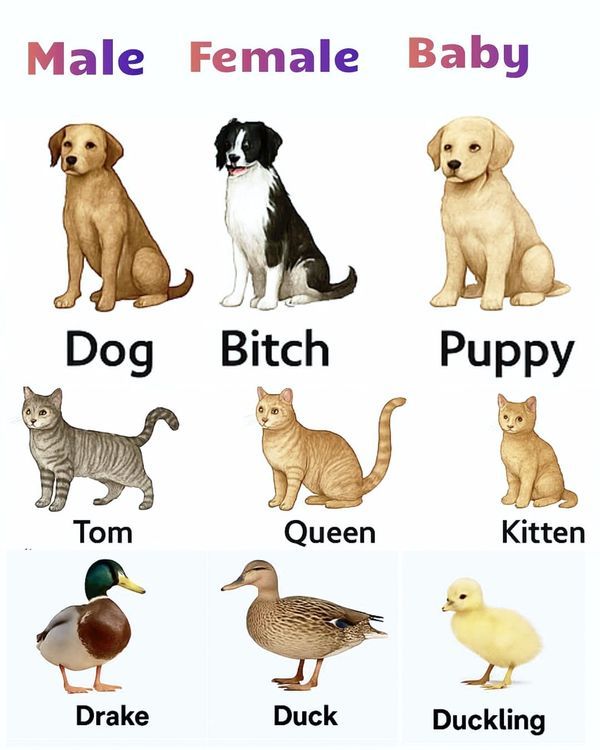 8b1de82cd1121465822b71a80d6558d1