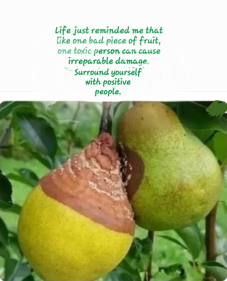 8c4c712fc5d41373ad19f801fda74b68