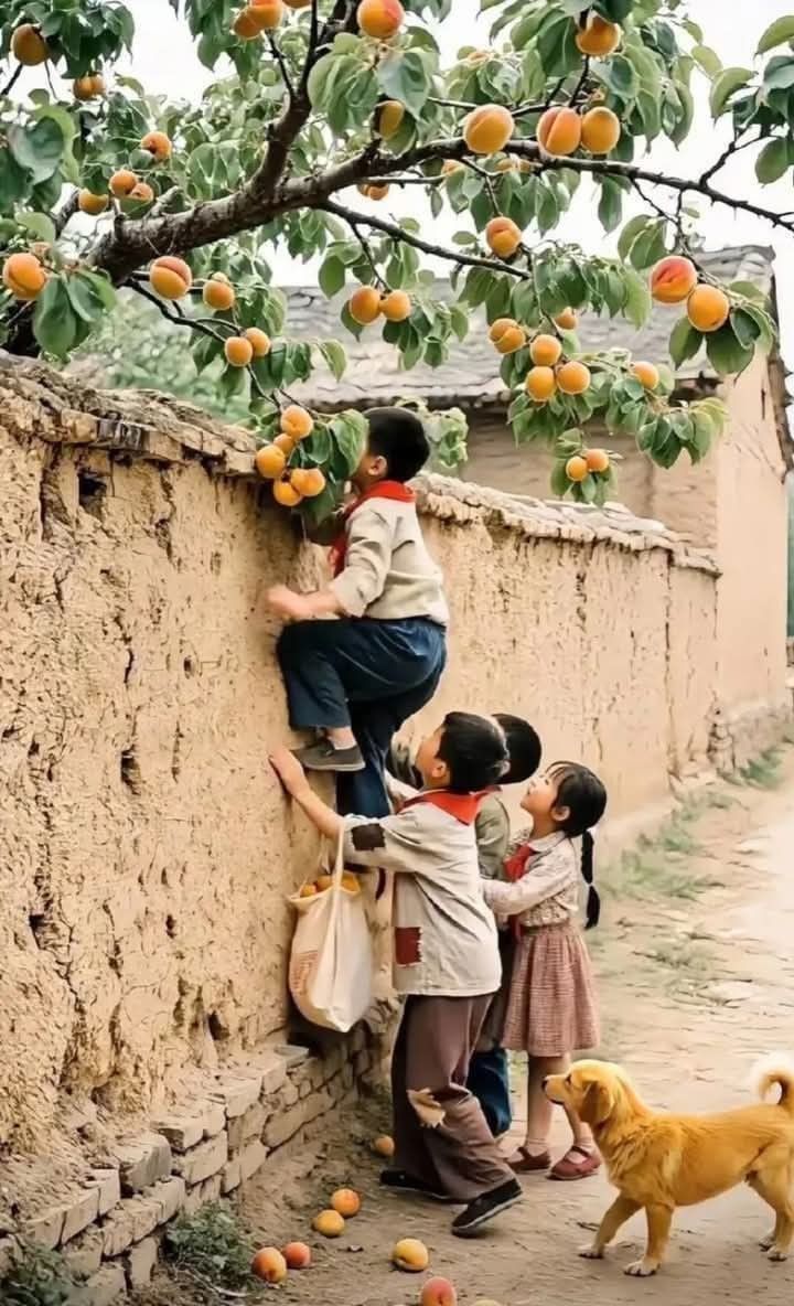 97073a205d29cc1a8e1c9196f9256722