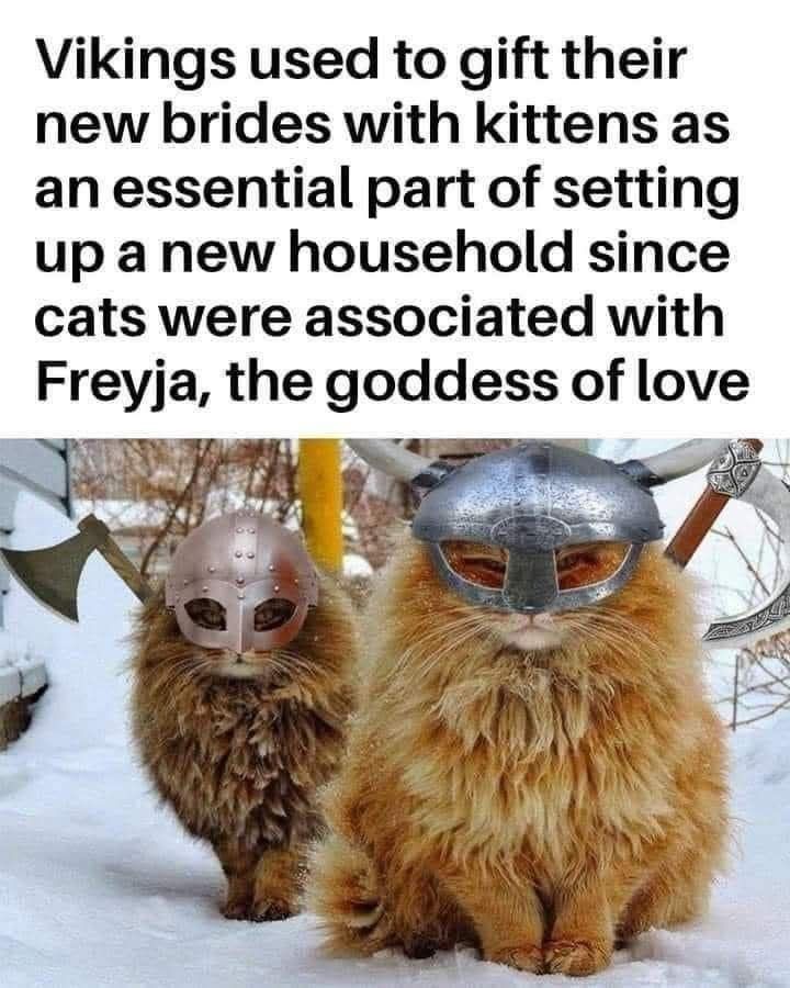 98e6fc1e886760d72230d668ebefd87c