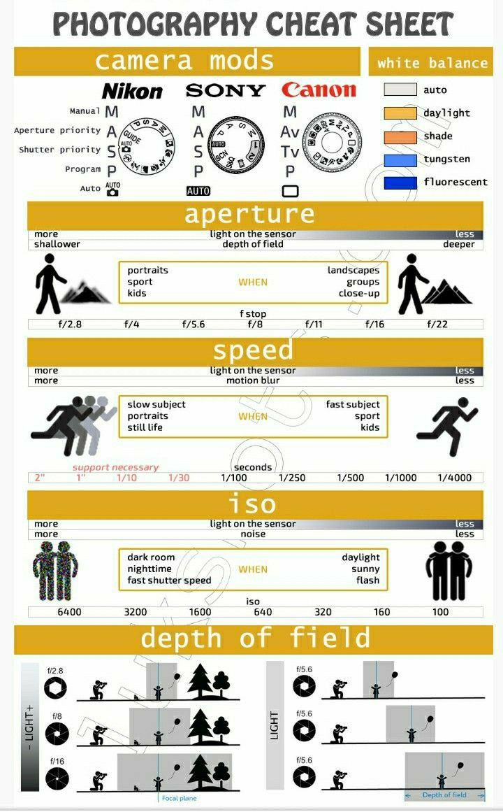 99adc06cd188bde9bb60b51137a4e566