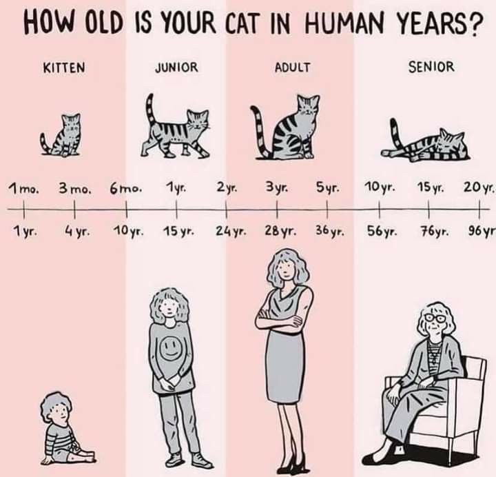 a175939c14f7174dbe520c8696996008