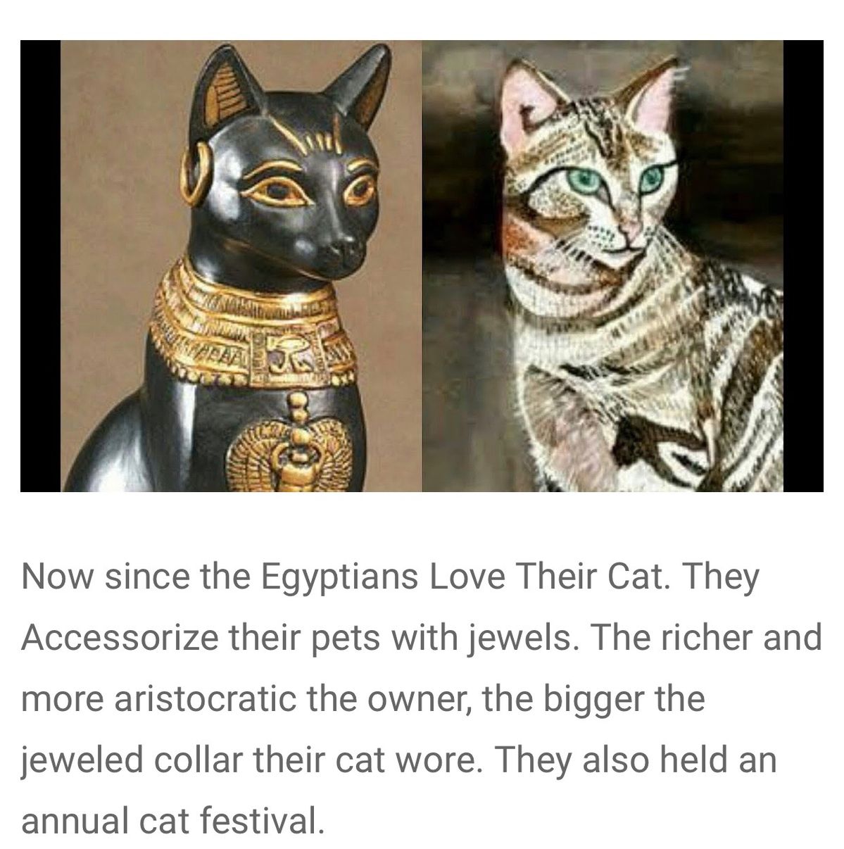 a68c132e8558ea2971b793207e4578f8