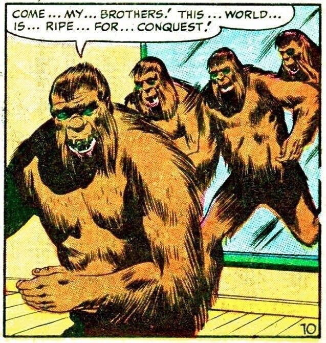 b71bb35e14ce20f81b2034d2a2d97cb4