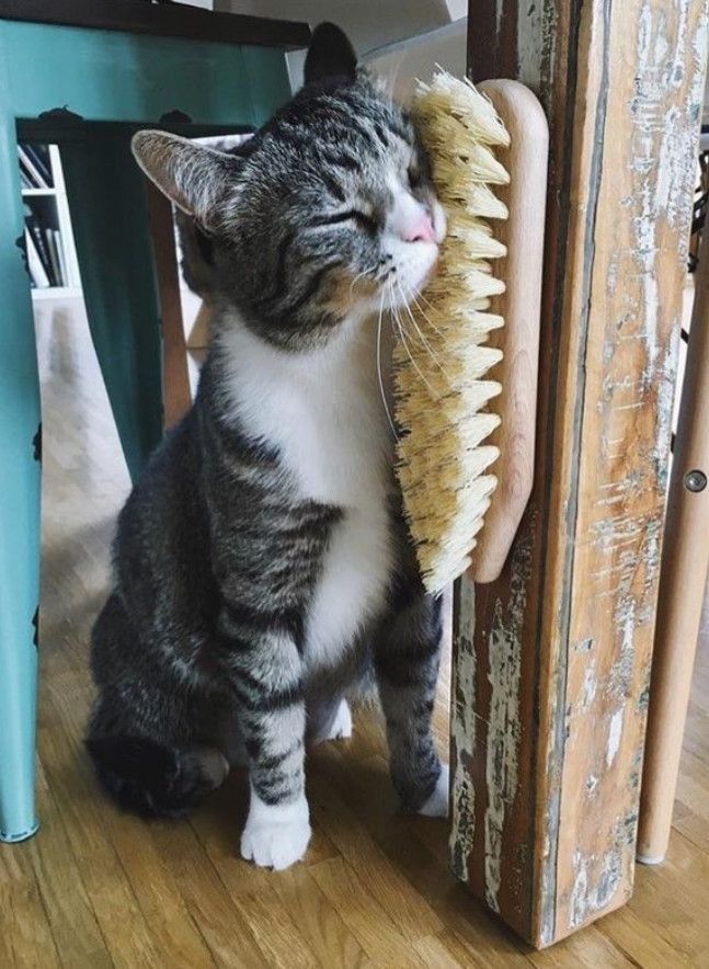 b7900ab6fa098cdeee1f04e61050f9d4