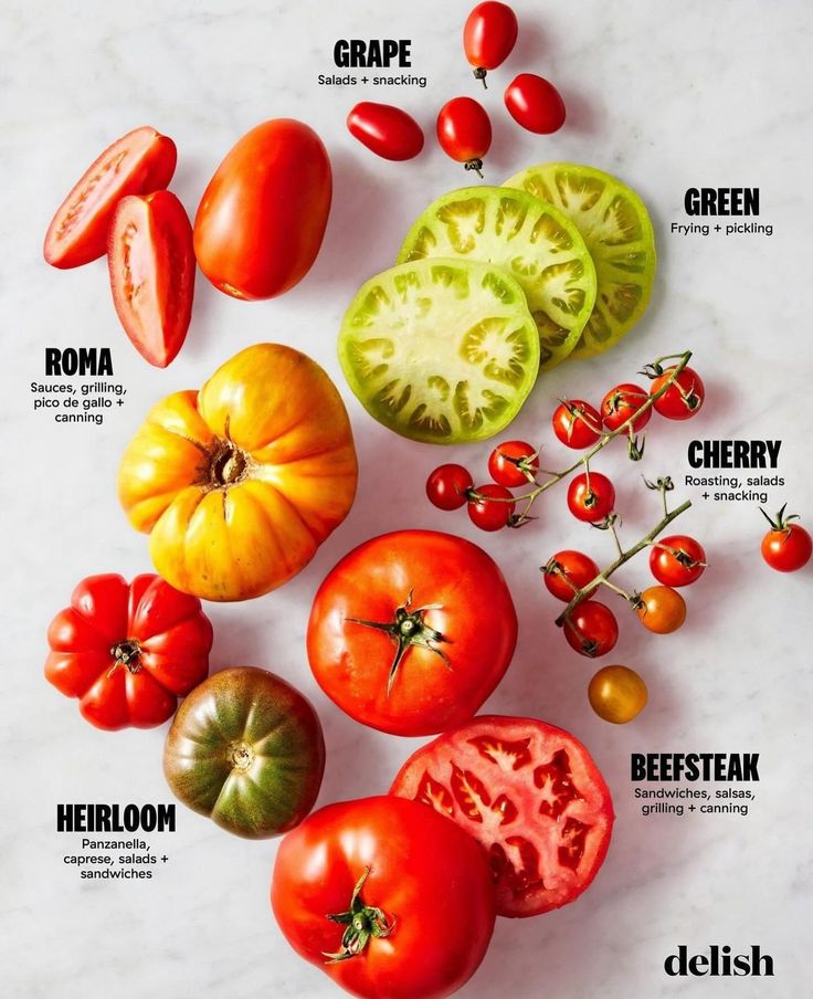 bb22ea1197a05c9e88c3303dabbed905