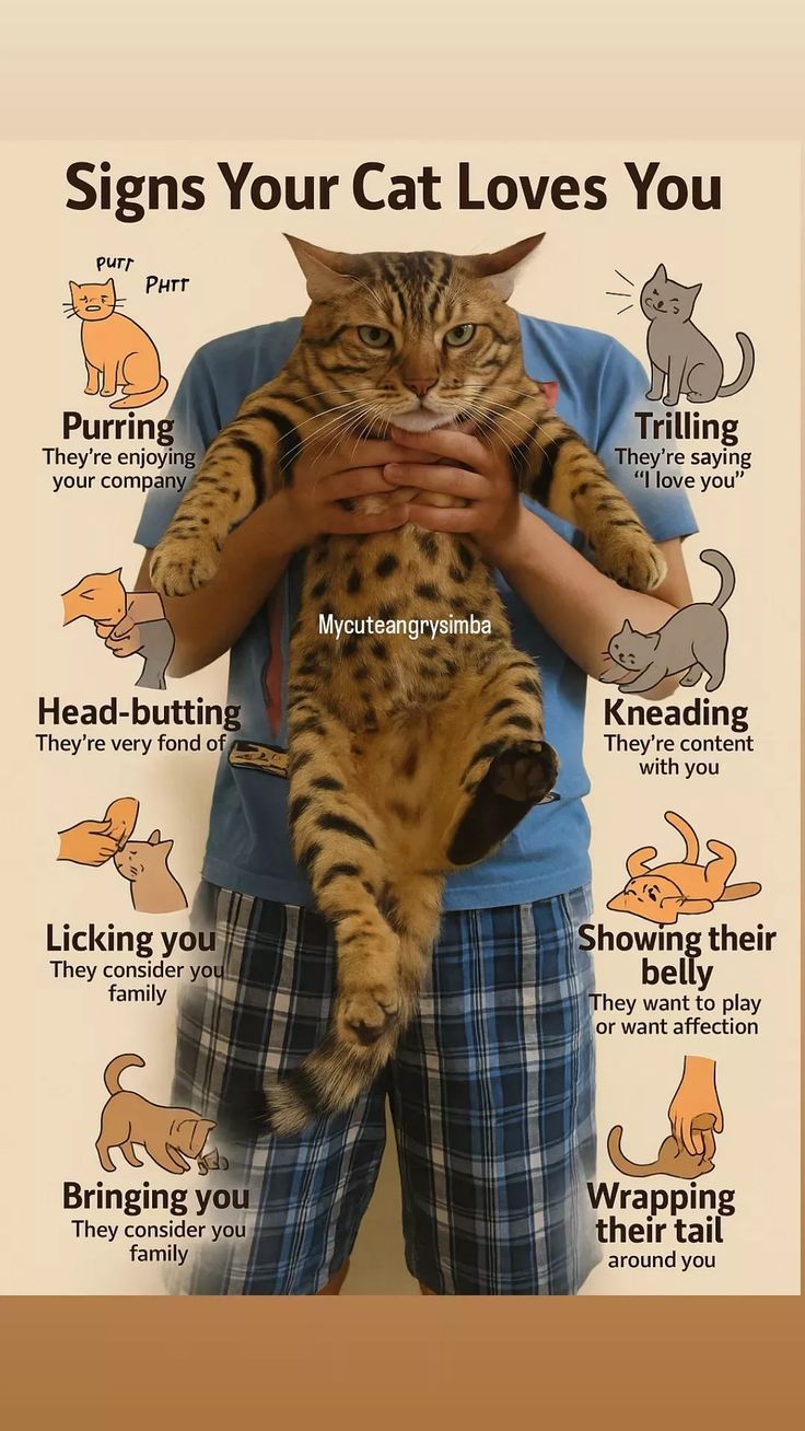 cab56347ac1d3b9dc9f812c6b845f156