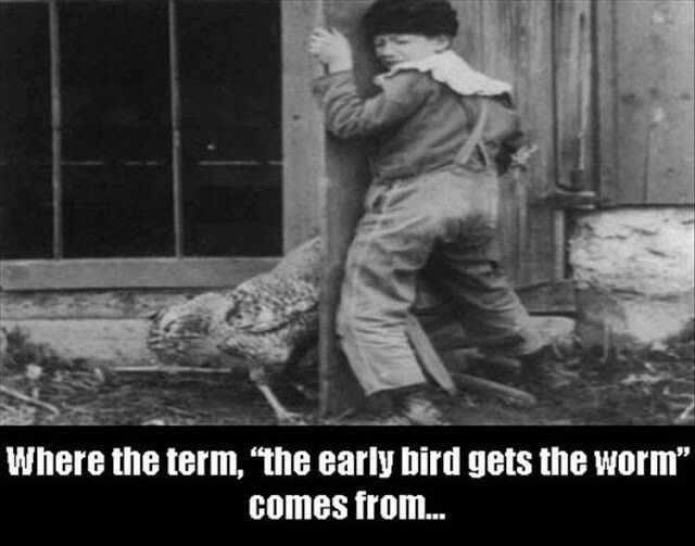 cc78287a06307f32be2a672d5506263d