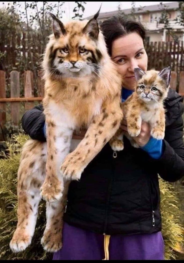 d76d797a89243c5c02099fb7879e385a