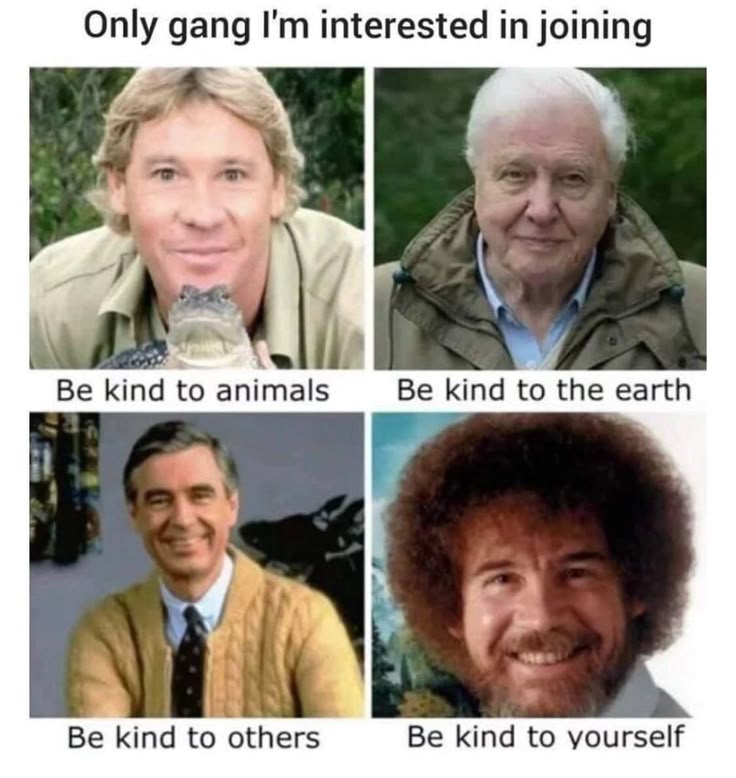 da4f4c5b27b3988954bf9156503476aa