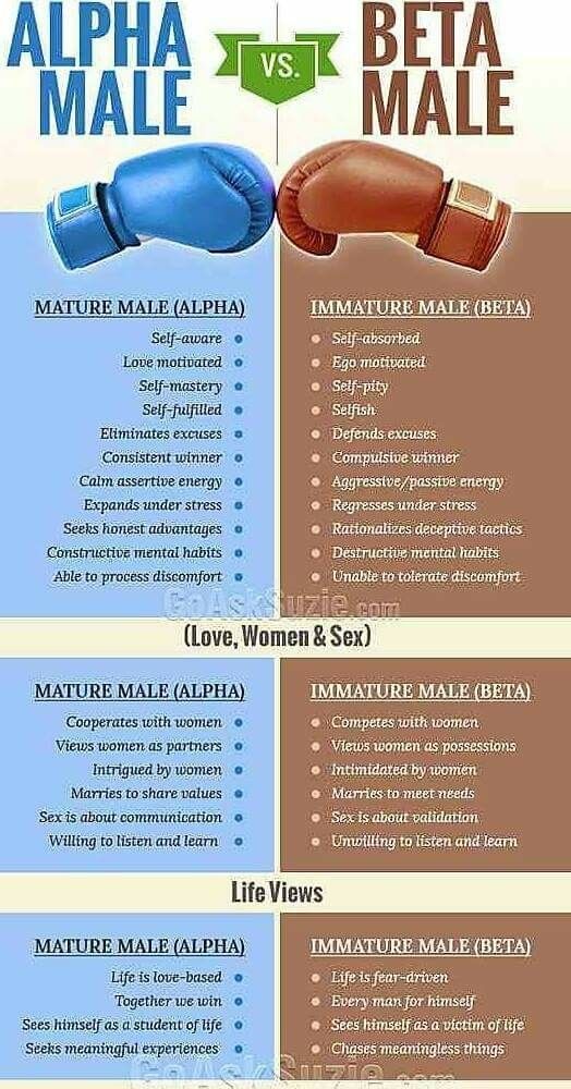 e500a1184e955b6ed241c8647c694e70