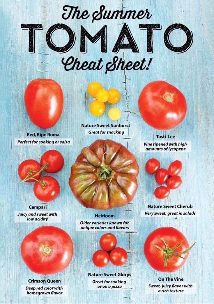 ebf1144b80d4124c2f2e2e64330570a1