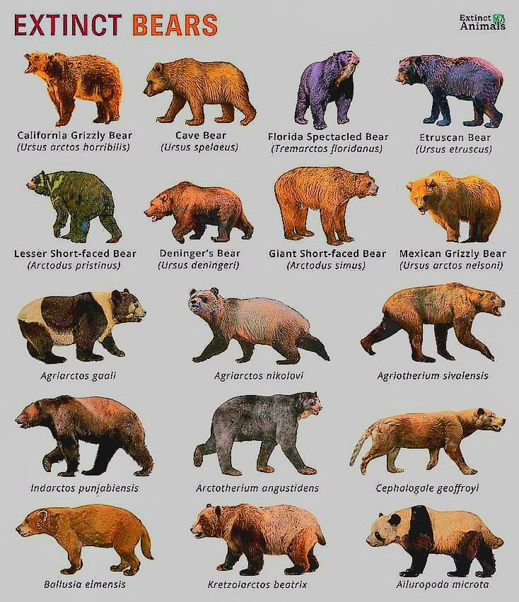 ee5bb351c0996a7d70b82ffdbeaab904