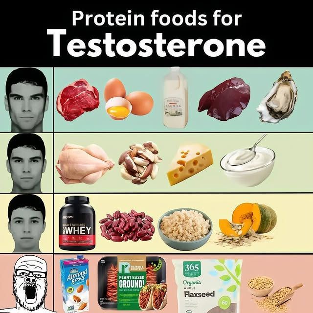 f03c561c4cc6044ce4286ac348da7a74