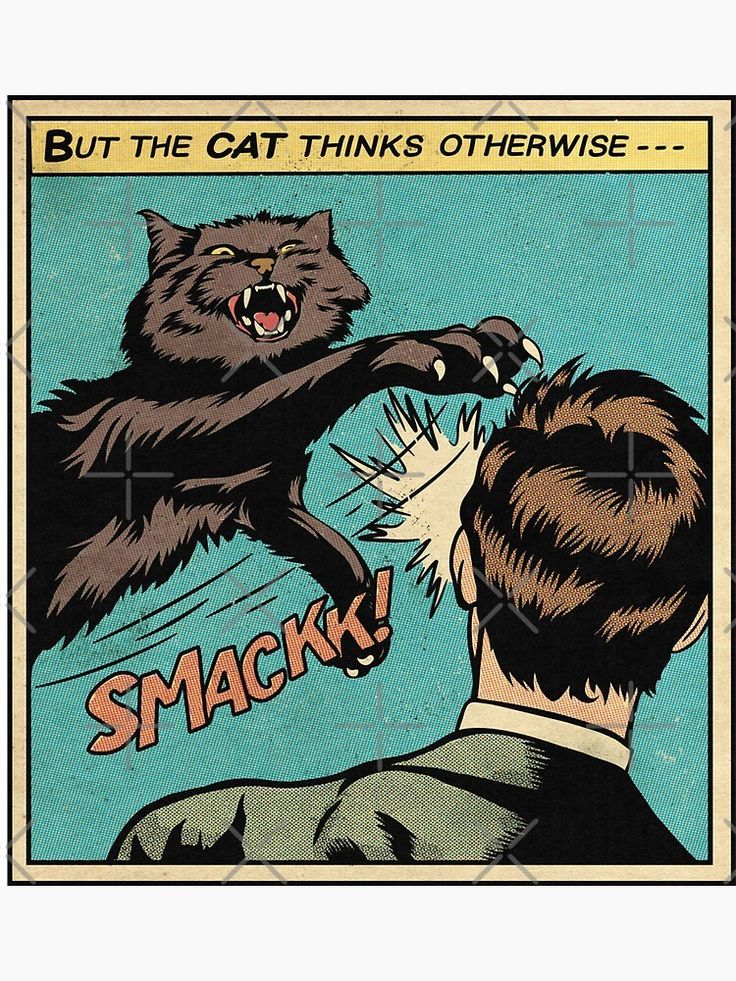 f55fda8be7751e4d1ad625ee5b8e50b3