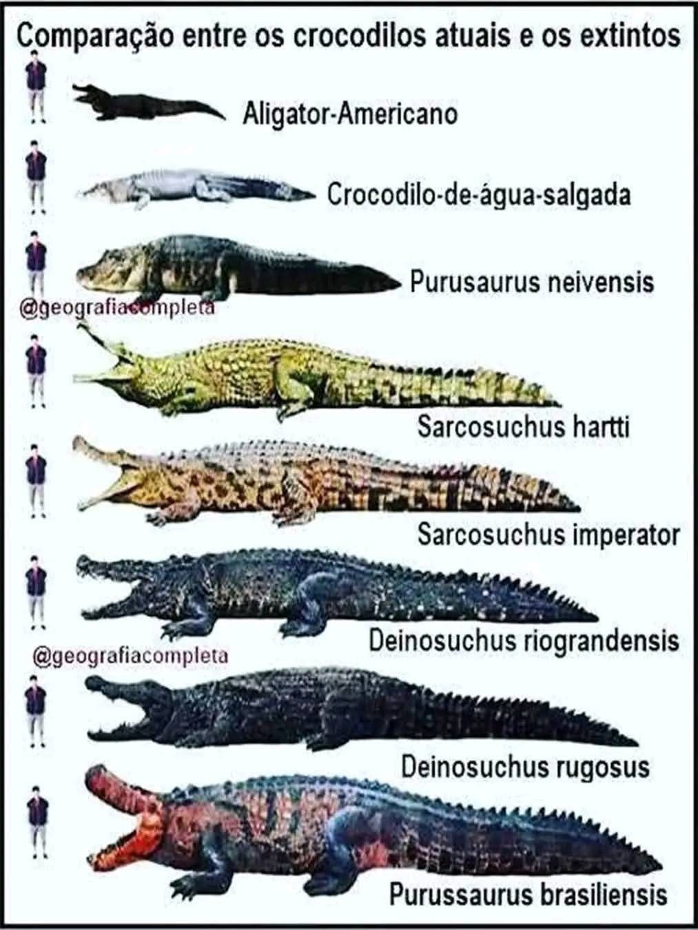 fc1625d43ef54437a59770cf0a286fc6