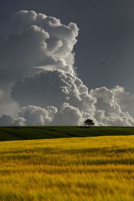 c170603e4ab66152a2785c4111ad3e92
