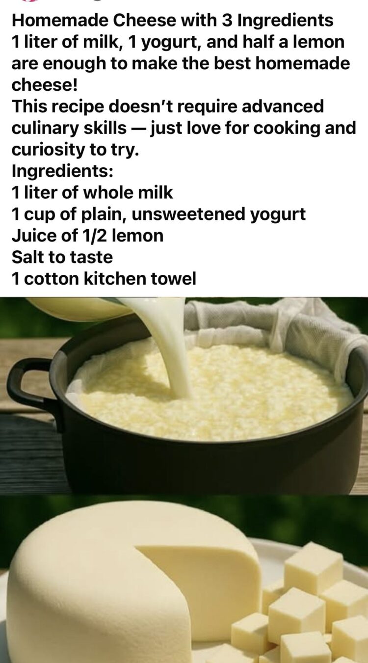 03baa6ba2695351edc4276bbbb379edf