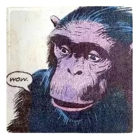 696d47def6c62a14722b25d3faa235d5