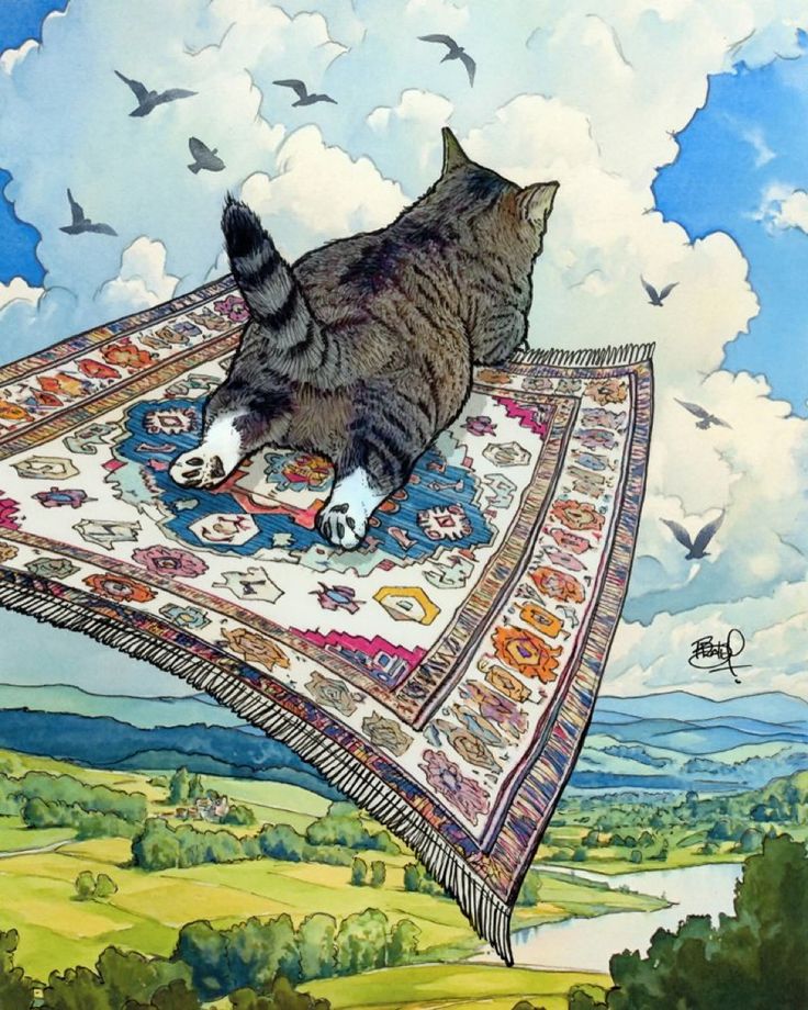 b1f97aeb5ef80b8f724bd2989756f949