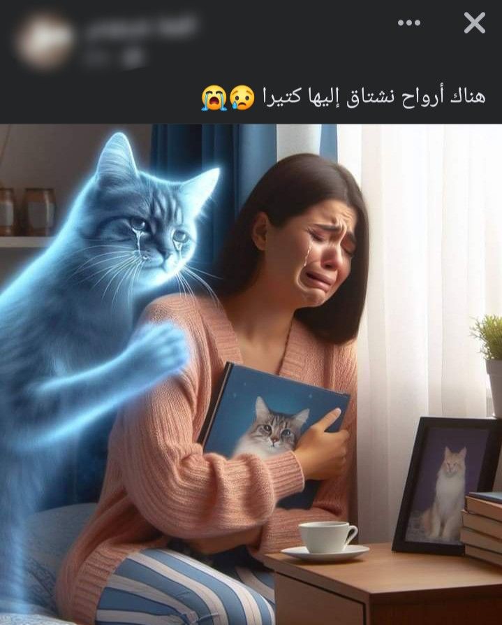 fada0a53a94c44b744cce661d06e885e fada0a53a94c44b744cce661d06e885e