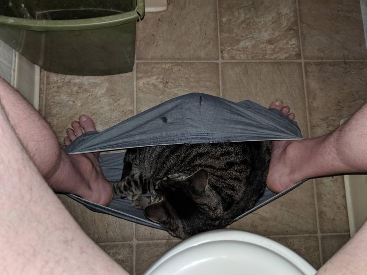 18bab23b0d1867705279169d83876e97