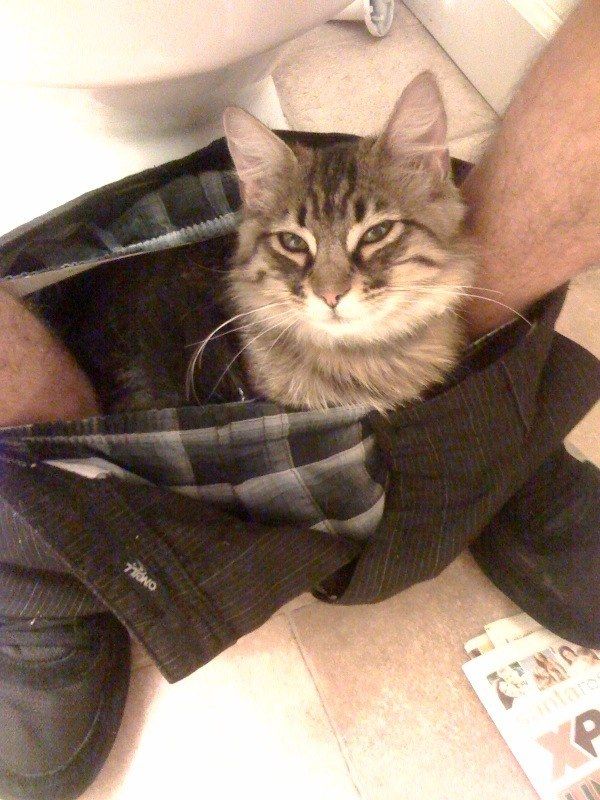 2c7bb43f3501f91acdf949de2567c7d2