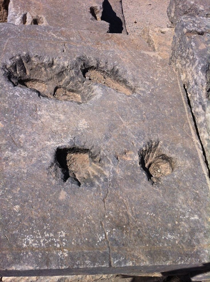 3ca860865d1f4275395af6dea218c05b