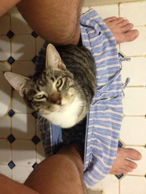 3fe00923f7e237d9514cd9e0af1f621d